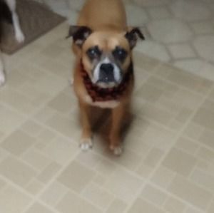 Meet your Posher, Joanne